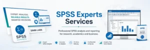 SPSS Experts Services
