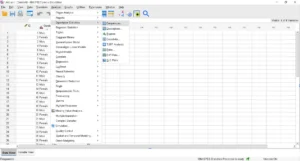 SPSS Descriptive Analysis Frequencies