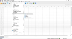 Statistical Data Analysis with SPSS