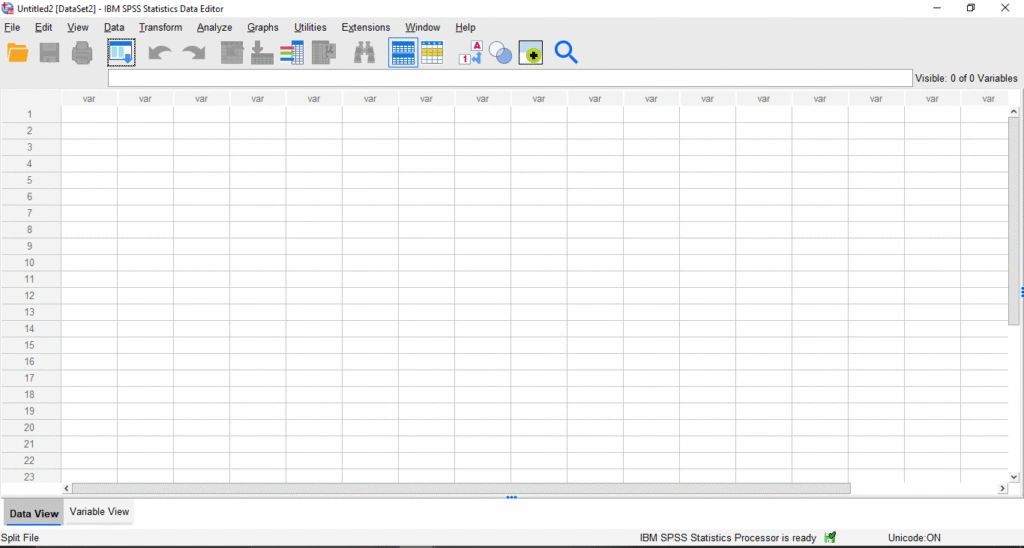 SPSS Interface