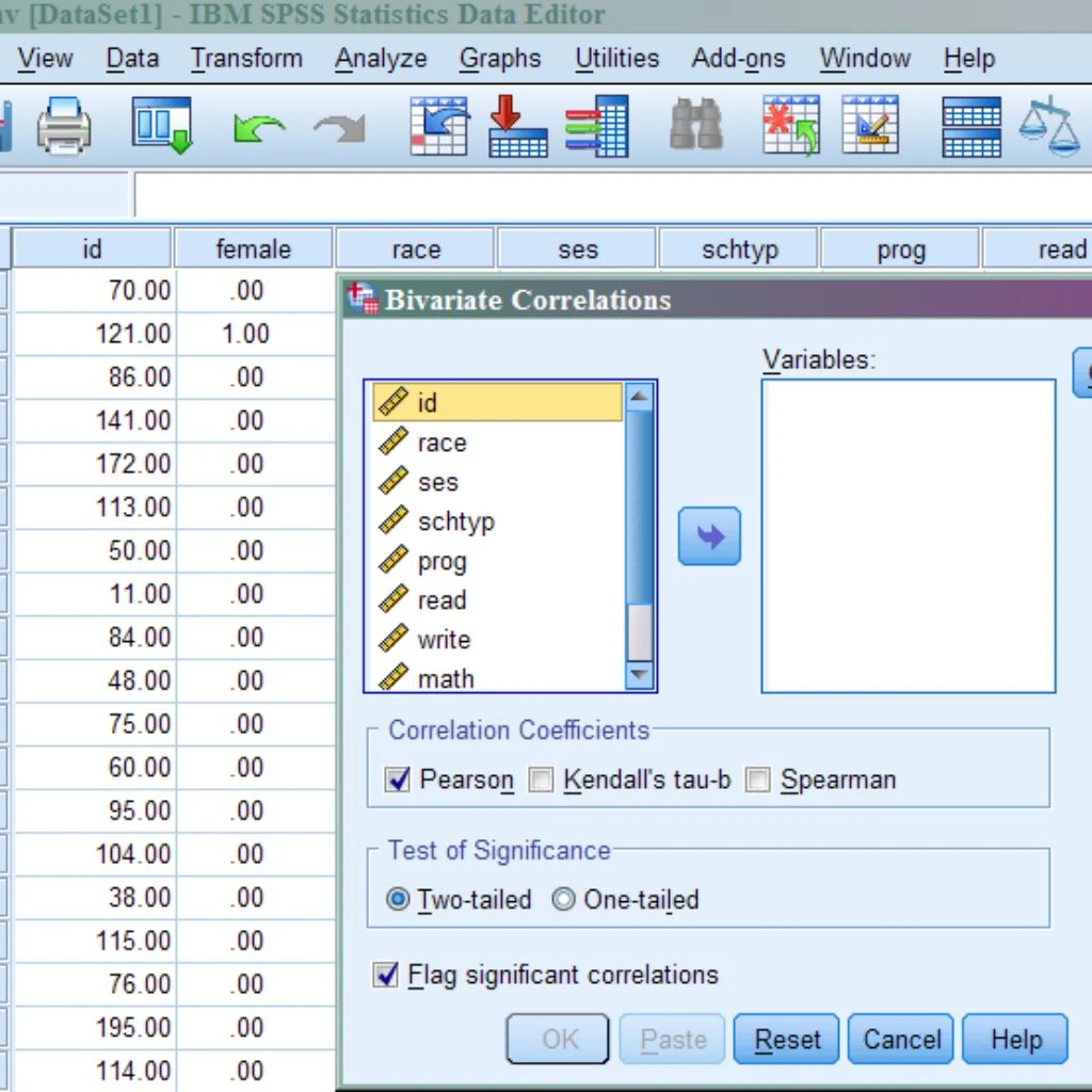IBM SPSS