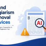 AI and Plagiarism Removal Services in India