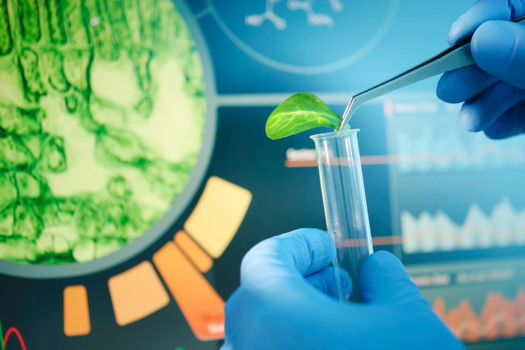 Biostatistics services in Visakhapatnam